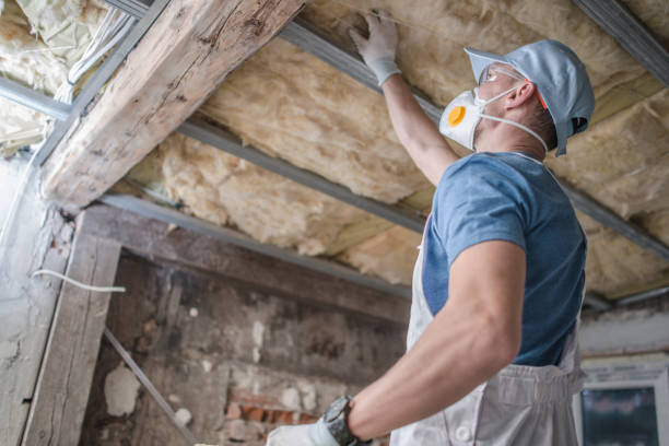 Best Commercial Insulation in Gray Summit, MO