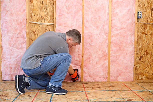 Best Energy Efficiency Insulation in Gray Summit, MO